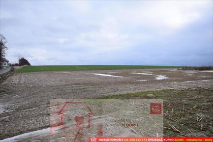 działka na sprzedaż 4001m2 działka Wierciszów