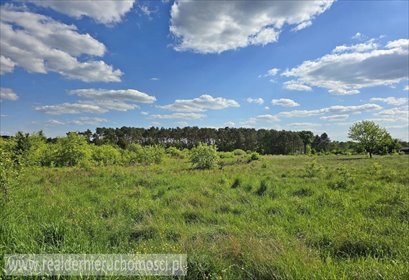 działka na sprzedaż 10295m2 działka Zielona Góra, Jędrzychów