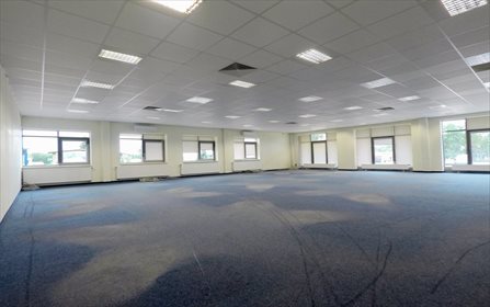 lokal użytkowy na wynajem 250m2 lokal użytkowy Kraków, Łagiewniki-Borek Fałęcki, Borek Fałęcki