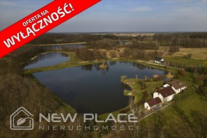 Dom na sprzedaż Raków 300m2 Foto 7
