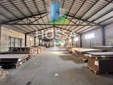 Magazyn 15661 m² Więckowo - adaptowalny obiekt przemysłowy magazyn Więckowo