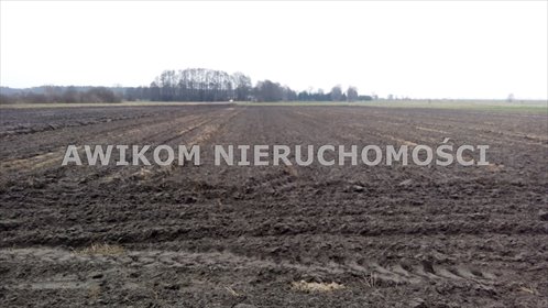 działka na sprzedaż 22000m2 działka Guźnia