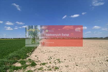 działka na sprzedaż 4200m2 działka Stoczek