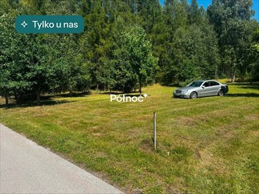 Działka 10 600 m² w Wincentowie (blisko lasów i Zalewu Sielpia) działka Wincentów