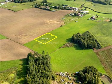 Działka 3005 m² z WZ - inwestycja lub dom w Warmii działka Sadowo