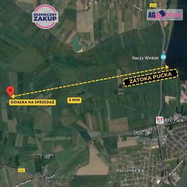 Działka siedliskowa na sprzedaż Połczyno 3 000m2 Foto 2