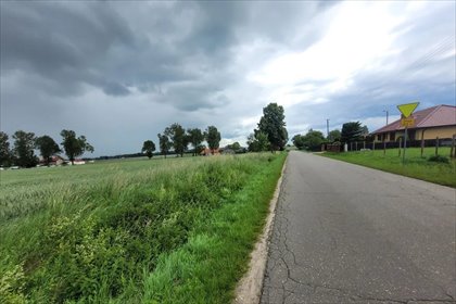 działka na sprzedaż 1000m2 działka Modliszewo