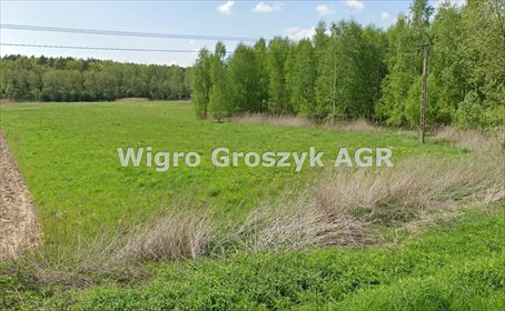 Działka 1700 m² z warunkami zabudowy w Złotopolicach polecam działka Złotopolice