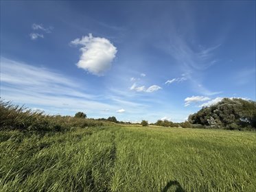 Zapraszam do obejrzenia działki 60 arów nad Widawą w Kowalach działka Wrocław, Kowale, Kowale