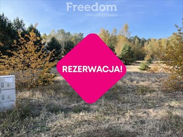 działka na sprzedaż 1000m2 działka Czarne Błoto