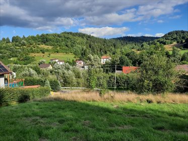 Działka budowlana na sprzedaż Trzebinia 1 596m2 Foto 3