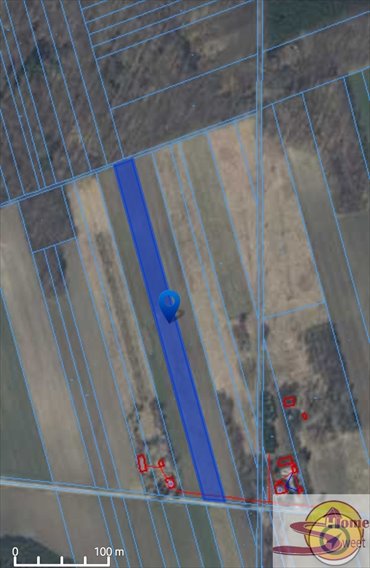 Działka 7700 m² w otoczeniu lasów, las i zabudowa działka Bieniędzice