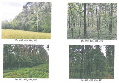 Działka rolna na sprzedaż Papiernia 41 900m2 Foto 3