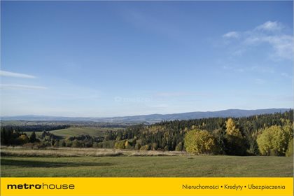 Działka rolna na sprzedaż Trybsz, Łapsze Niżne 3 000m2 Foto 6