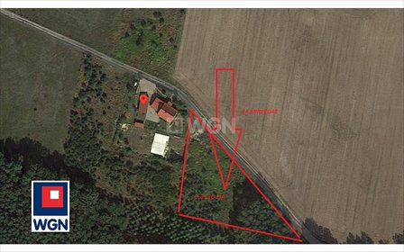 Polecam działkę 3126 m² pod lasem w Grabowno Wielkim działka Twardogóra, Grabowno Wielkie, Grabowno Wielkie