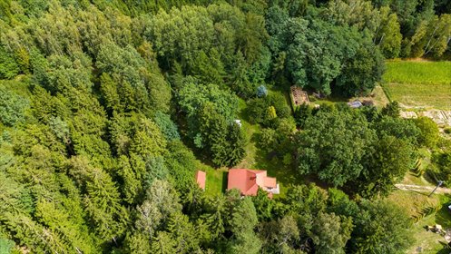 Urokliwa leśniczówka 85 m² z ogrodem i lasem dom Miszkieniki Wielkie
