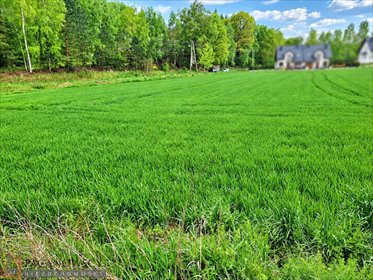 Działka budowlana 1200 m² w Michałowicach - polecam działka Michałowice