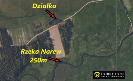 działka na sprzedaż 4700m2 działka Ciełuszki