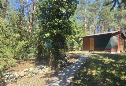 Urokliwy domek 40 m² w leśnej oazie z tarasem i studnią dom Łosie