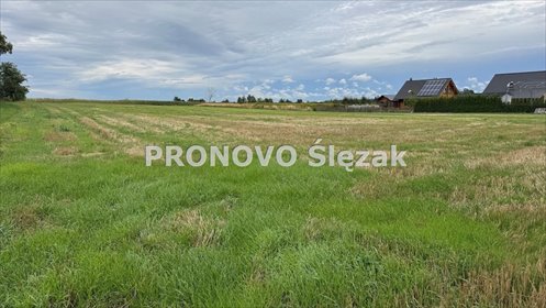 Działka 1,09 ha pod inwestycję w Lutyni - elastyczne warunki działka Lutynia, Lutynia