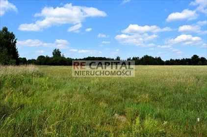 działka na sprzedaż 3831m2 działka Wojcieszyn