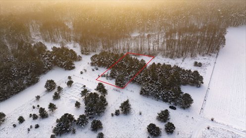 działka na sprzedaż 2566m2 działka Silna