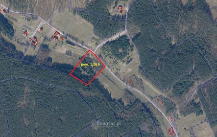 działka na sprzedaż 12600m2 działka Nowe Kurowo