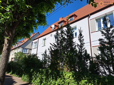 Atrakcyjne 2-pokojowe mieszkanie z dużym potencjałem mieszkanie Gdańsk, Oliwa, Franciszka Kręckiego