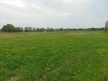 Działka rolna na sprzedaż Kępa Mała 15 000m2 Foto 2