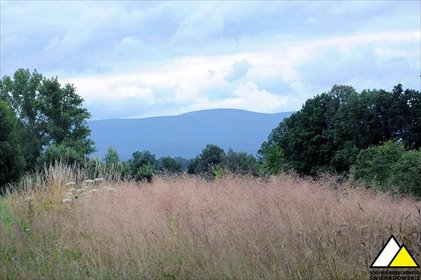 działka na sprzedaż 1508m2 działka Brzeziniec