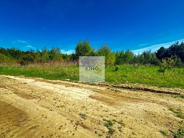 działka na sprzedaż 3000m2 działka Steklno