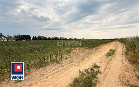 Działka budowlana 1200 m² z warunkami zabudowy, prąd i studnia działka Zawonia, Zawonia, Tarnowiec