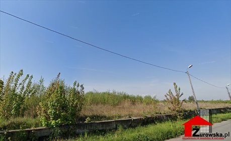 działka na sprzedaż 100000m2 działka Malczyce