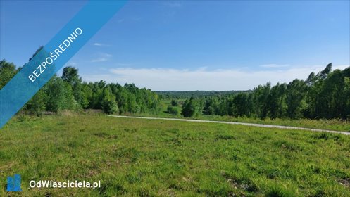 działka na sprzedaż 3405m2 działka Brzeziny