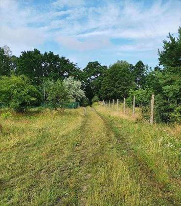 działka na sprzedaż 3000m2 działka Cerekwica, Szamotulska