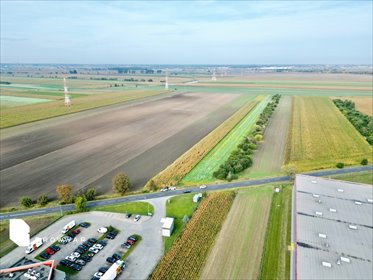 Działka inwestycyjna 8 535 m² Plewiska, przemysł i handel działka Plewiska