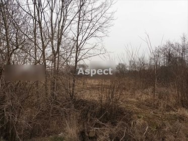 działka na sprzedaż 6569m2 działka Żory, Baranowice