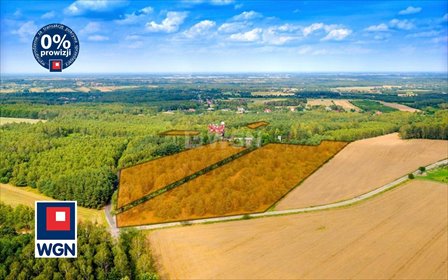Do sprzedania działka 33 031 m² pod inwestycję usługową działka Dąbrowa, Hanuszkiewicza