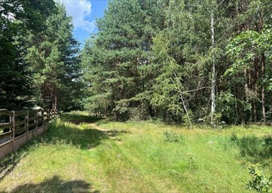 Działka rekreacyjna na sprzedaż Dworszowice Kościelne 780m2 Foto 6