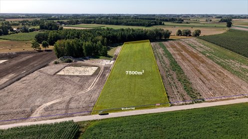 Na sprzedaż działka 7 500 m² z warunkami zabudowy w Olunin działka Olunin