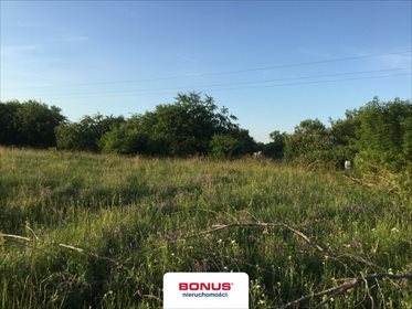 działka na sprzedaż 2621m2 działka Pilchowo