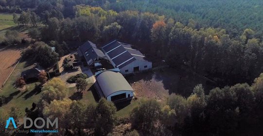 Lokal użytkowy na sprzedaż Stara Kaźmierka 1 700m2 Foto 2