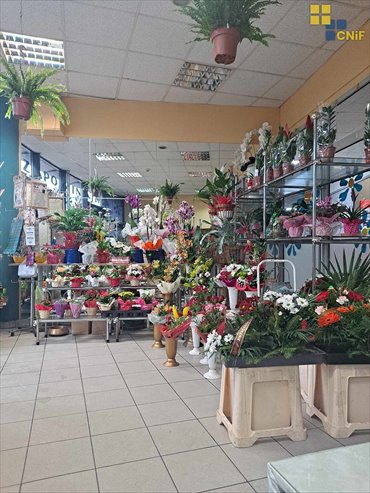 lokal użytkowy na sprzedaż 34m2 lokal użytkowy Częstochowa, Wrzosowiak