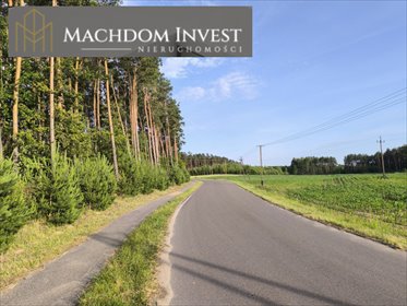 działka na sprzedaż 8000m2 działka Rojewo