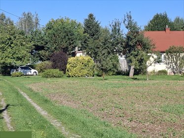 Zapraszam do obejrzenia działki 5271 m² w Miłocinie działka Miłocin