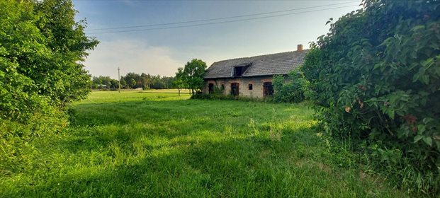 Działka siedliskowa na sprzedaż Barczew 5 900m2 Foto 3