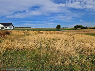 Do sprzedania działka budowlana 11,56 ara w Kocmyrzowie działka Kocmyrzów