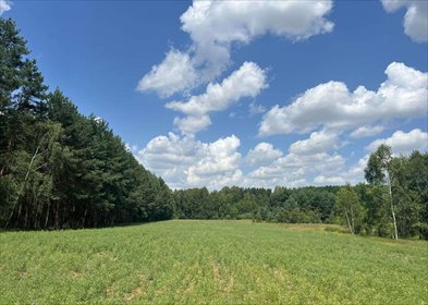 Działka rekreacyjna na sprzedaż Dworszowice Kościelne 780m2 Foto 5
