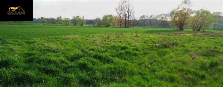 działka na sprzedaż 2600m2 działka Wierzbna