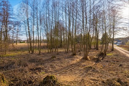 Na sprzedaż działka 1128 m² w Warszawie Białołęce działka Warszawa, Białołęka, Sielska